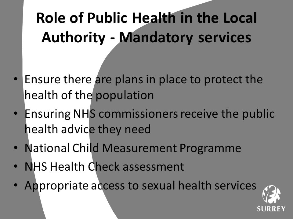 Role of Public Health in the Local Authority - Mandatory services