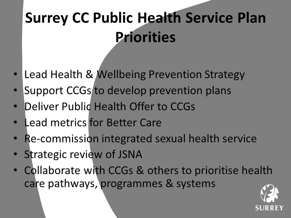 Surrey CC Public Health Service Plan Priorities