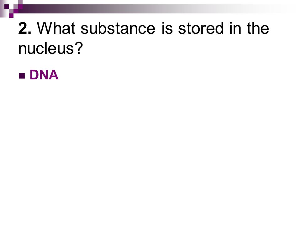 2. What substance is stored in the nucleus