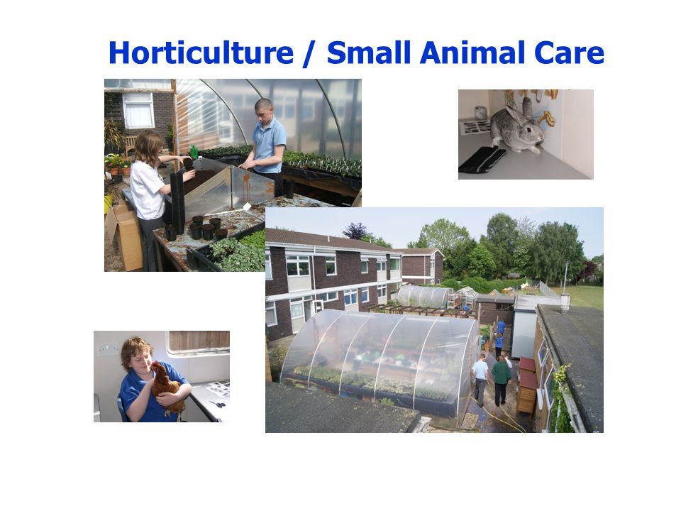 Horticulture / Small Animal Care