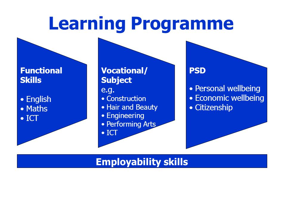 Learning Programme Employability skills Functional Skills English