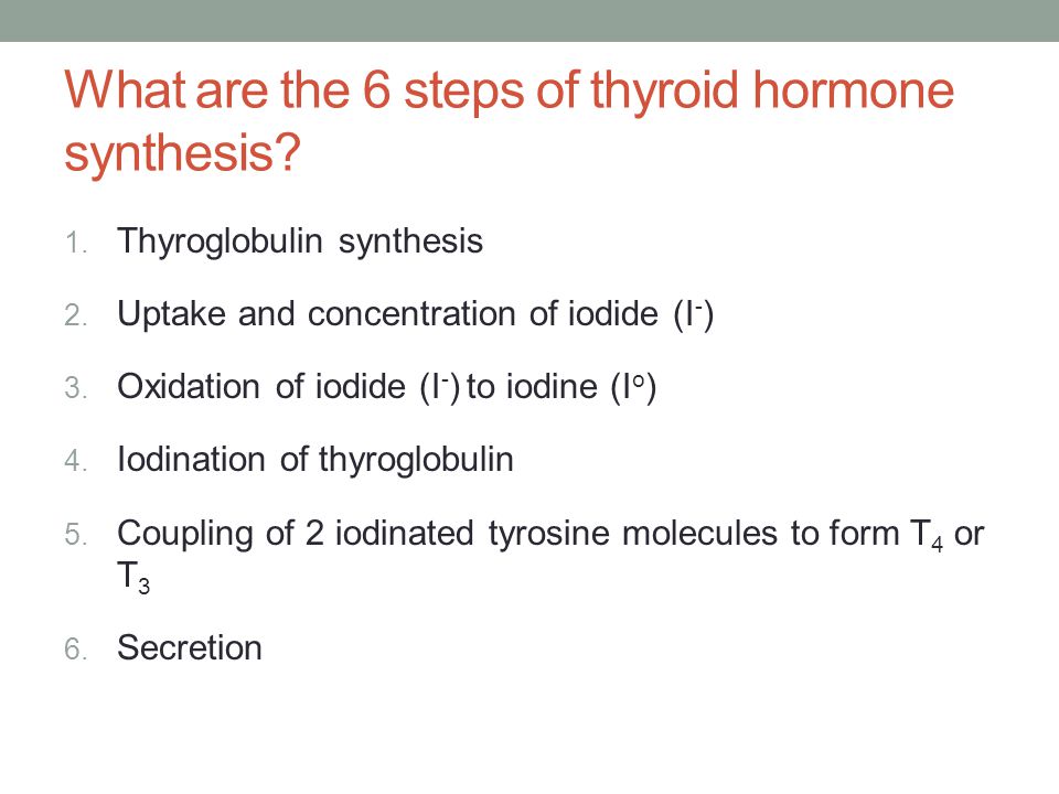 What are the 6 steps of thyroid hormone synthesis