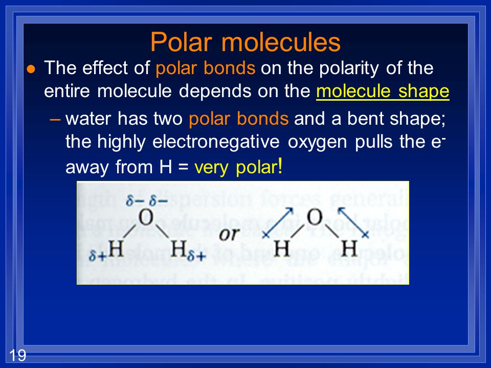 Polar molecules The effect of polar bonds on the polarity of the entire molecule depends on the molecule shape.