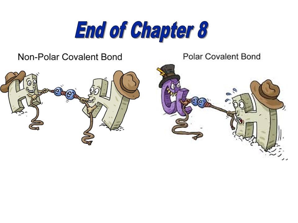 End of Chapter 8