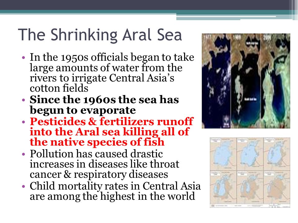 The Shrinking Aral Sea In the 1950s officials began to take large amounts of water from the rivers to irrigate Central Asia’s cotton fields.