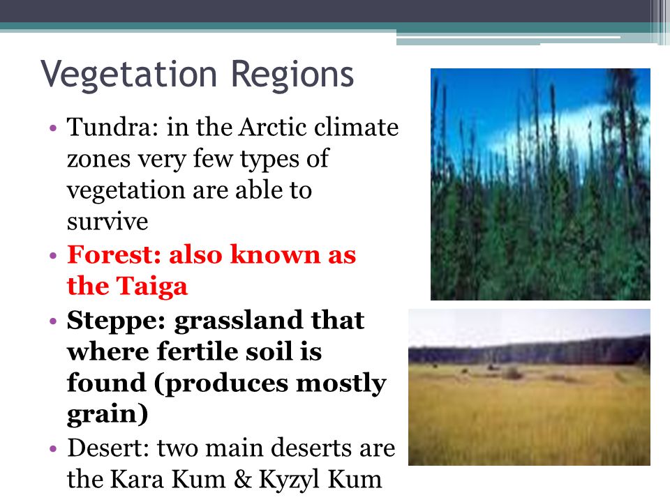 Vegetation Regions Tundra: in the Arctic climate zones very few types of vegetation are able to survive.