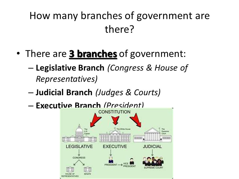 How many branches of government are there