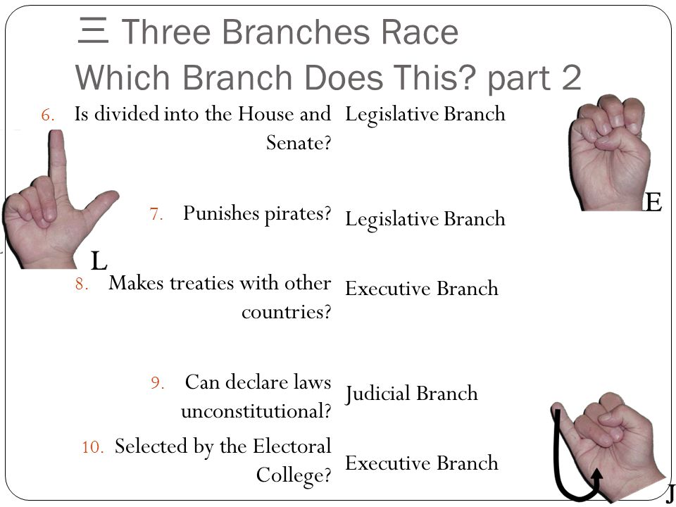 三 Three Branches Race Which Branch Does This part 2