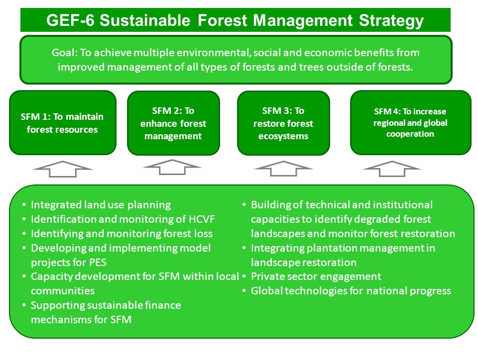 GEF-6 Sustainable Forest Management Strategy