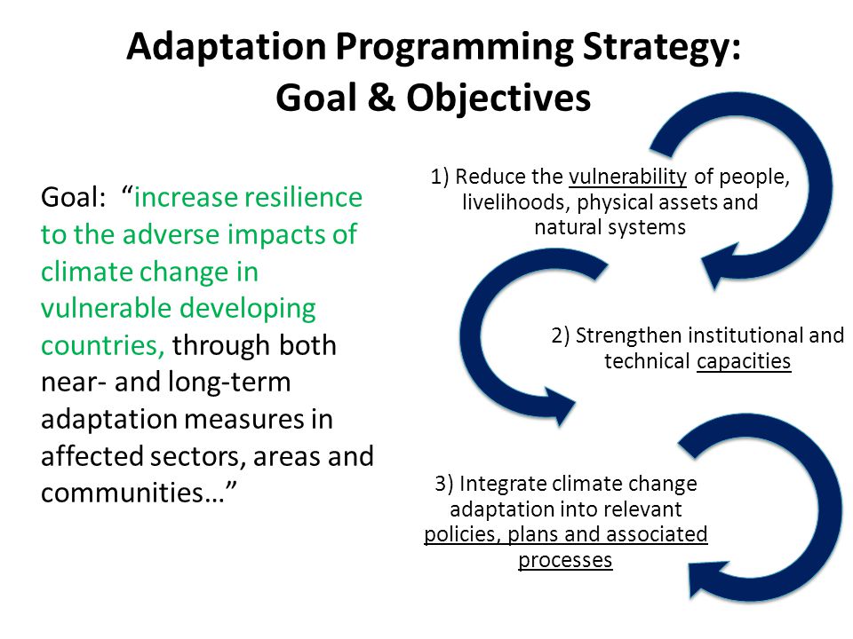 Adaptation Programming Strategy: Goal & Objectives