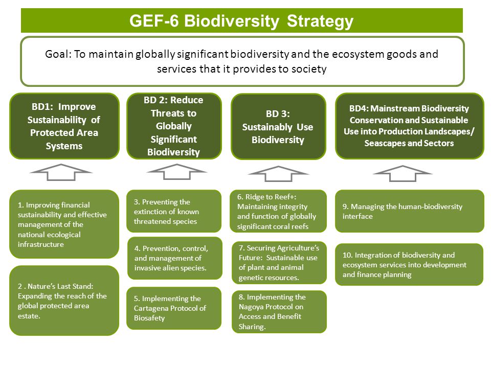GEF-6 Biodiversity Strategy