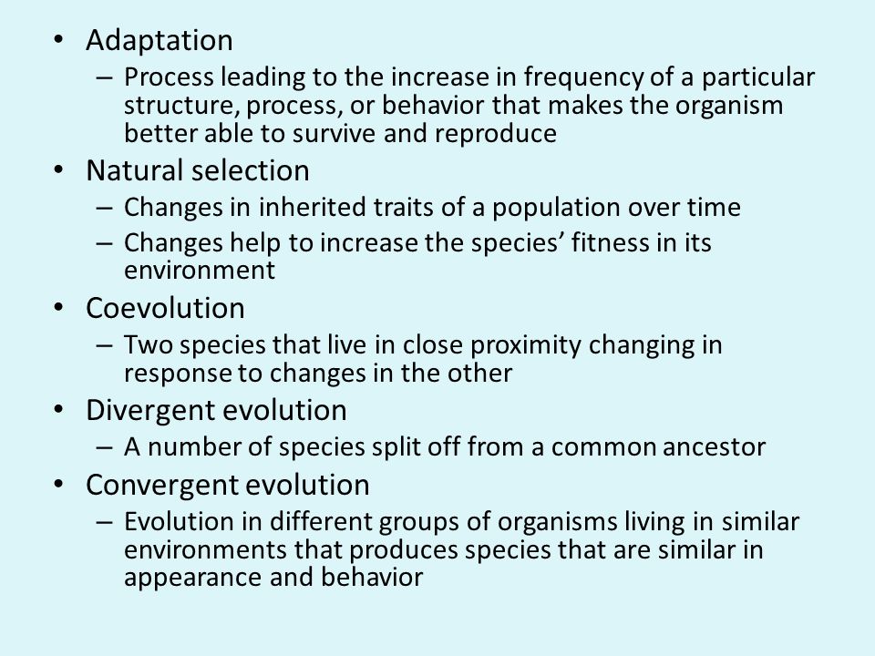 Adaptation Natural selection Coevolution Divergent evolution