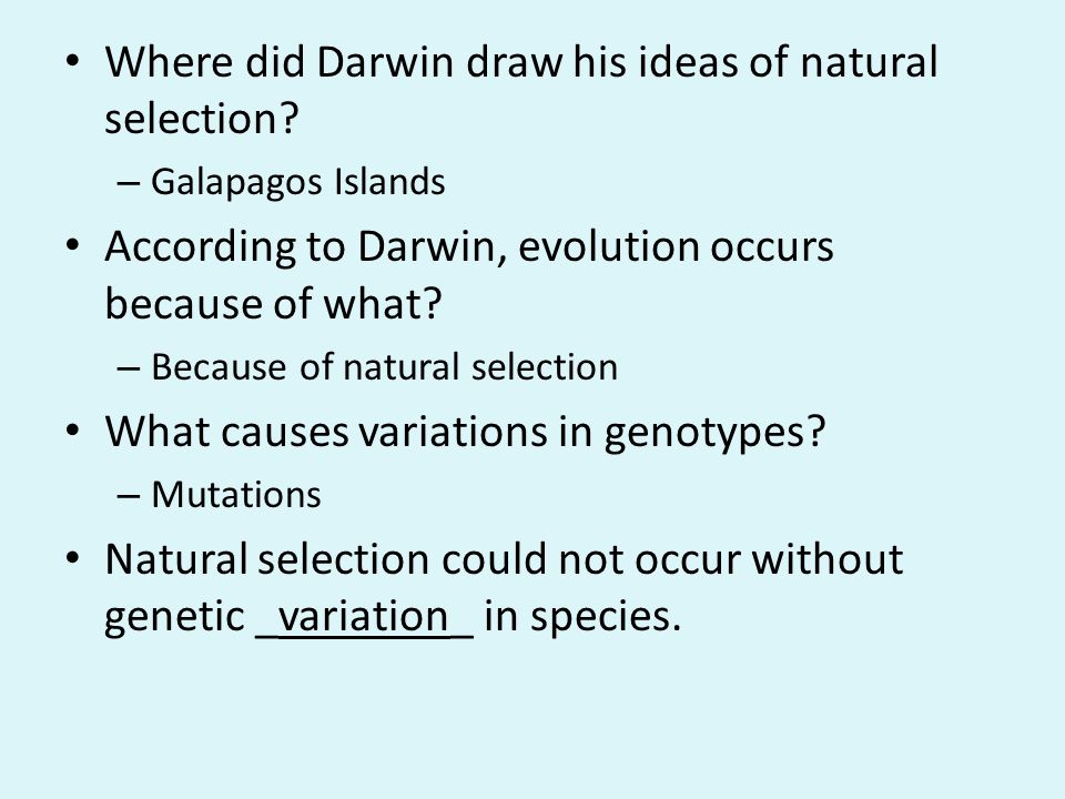 Where did Darwin draw his ideas of natural selection