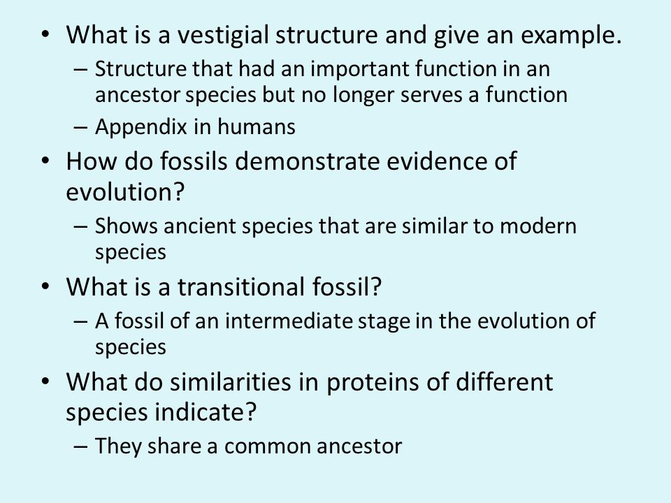 What is a vestigial structure and give an example.