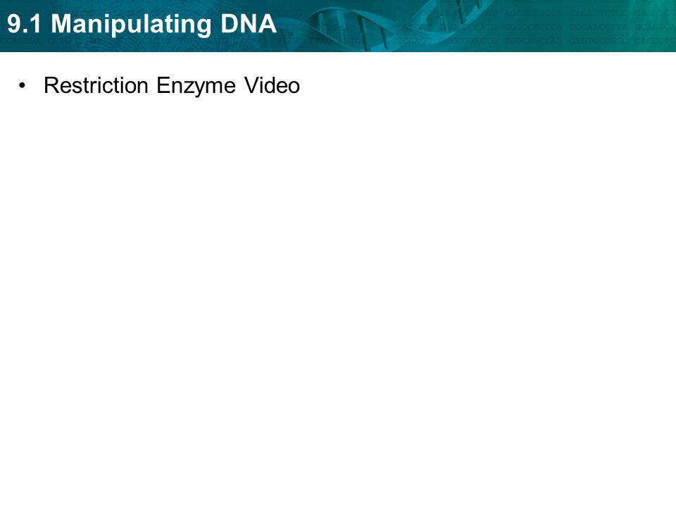 Restriction Enzyme Video