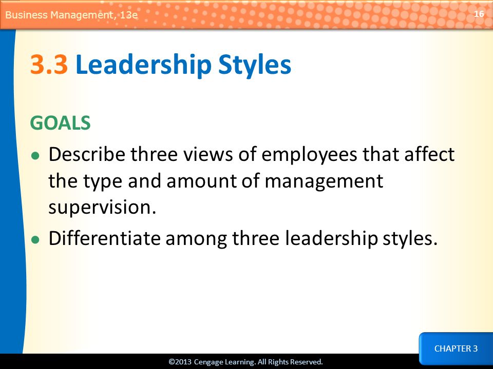 3.3 Leadership Styles GOALS