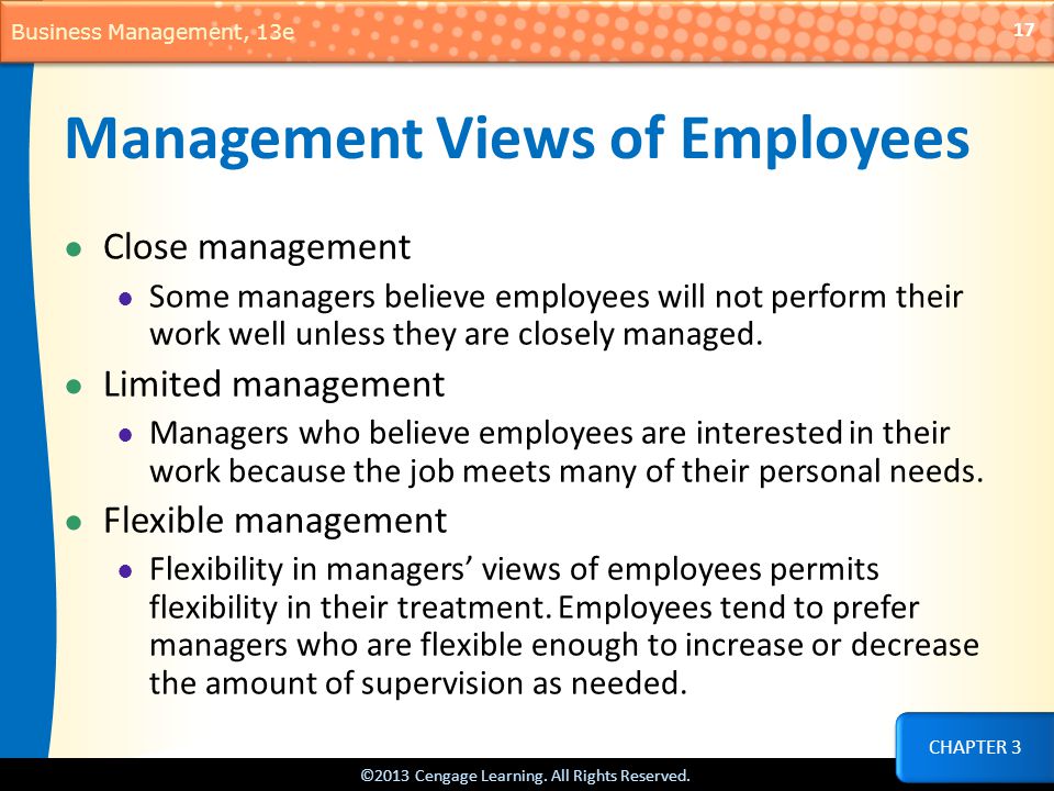 Management Views of Employees