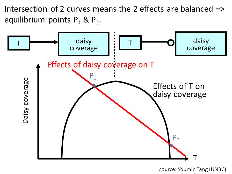 Effects of daisy coverage on T