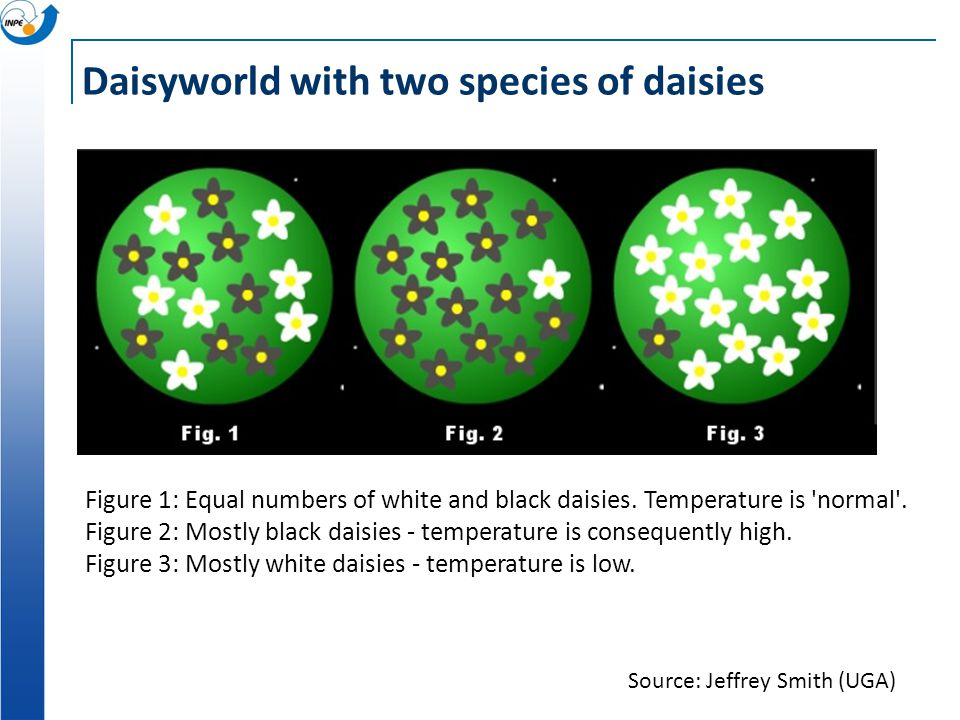 Daisyworld with two species of daisies