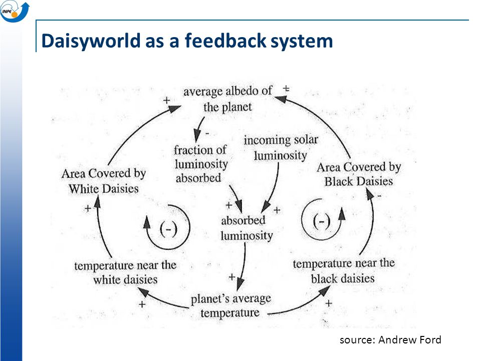 Daisyworld as a feedback system