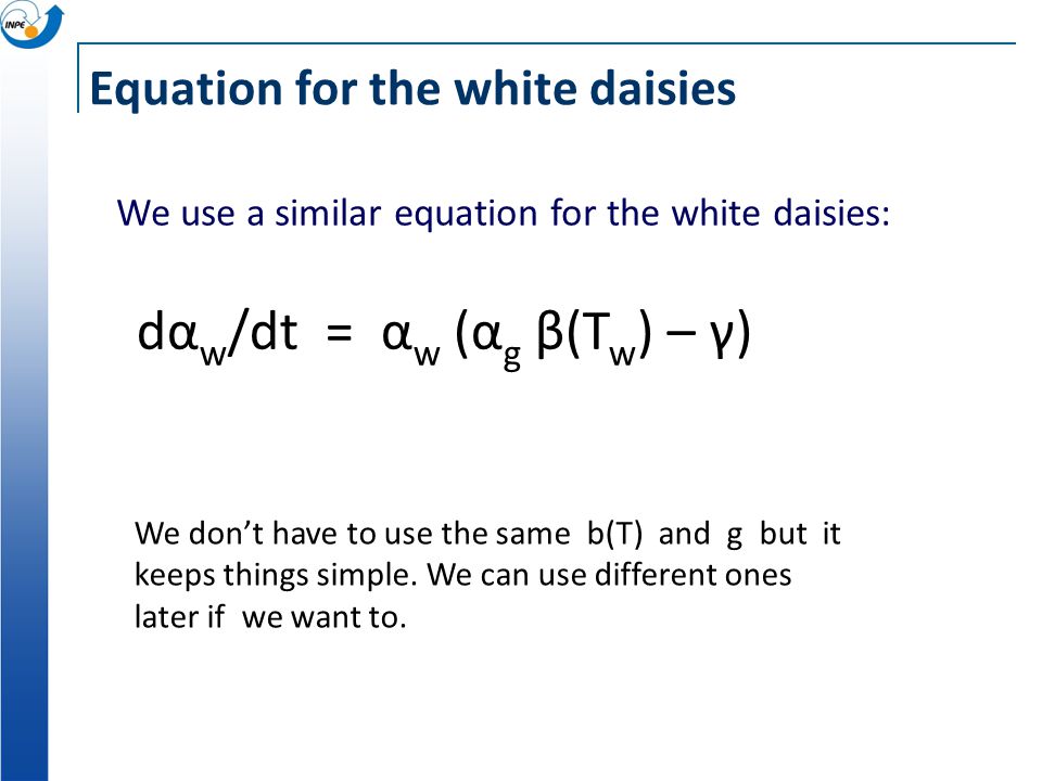 Equation for the white daisies
