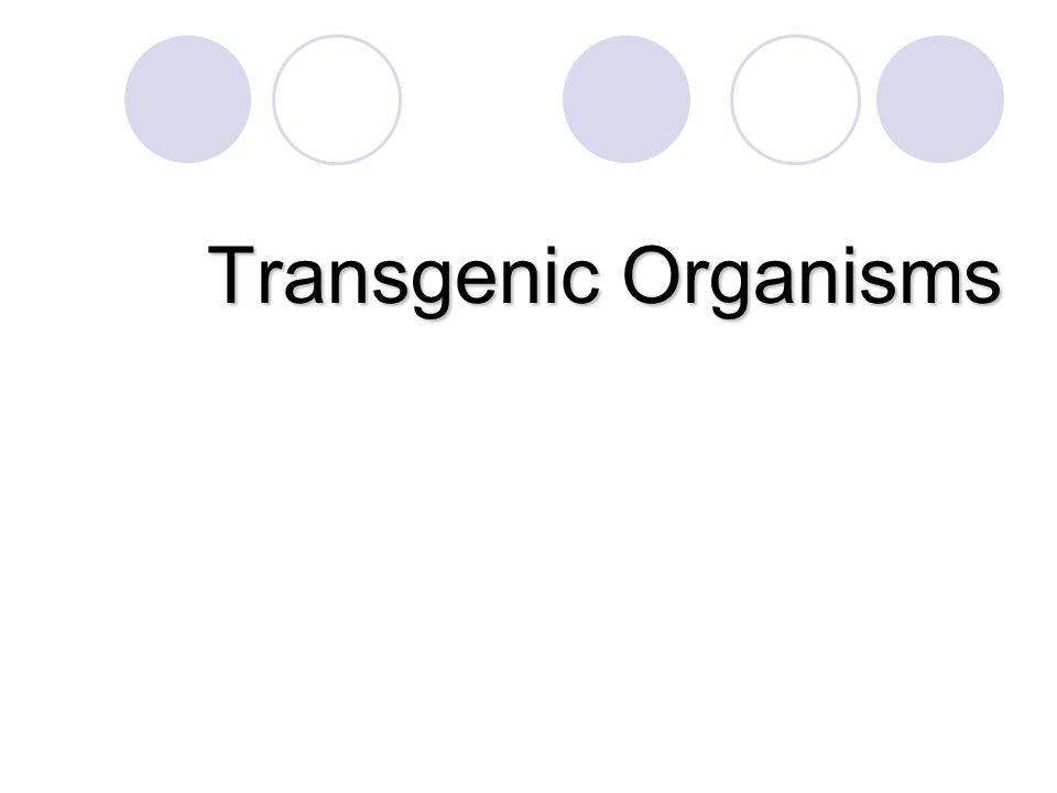 Transgenic Organisms