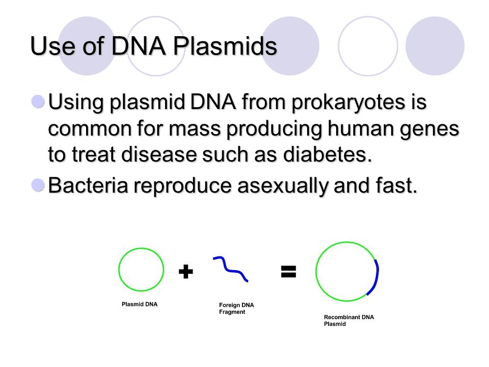 Use of DNA Plasmids Using plasmid DNA from prokaryotes is common for mass producing human genes to treat disease such as diabetes.