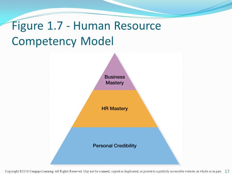 Figure Human Resource Competency Model