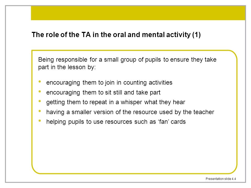 The role of the TA in the oral and mental activity (1)