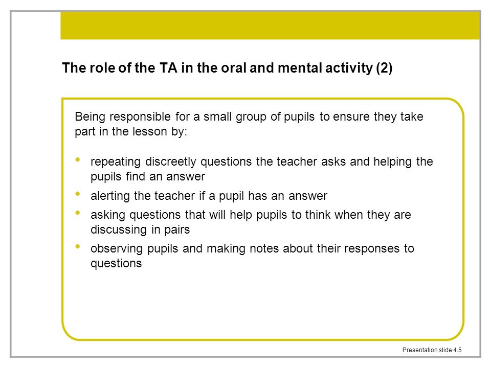 The role of the TA in the oral and mental activity (2)