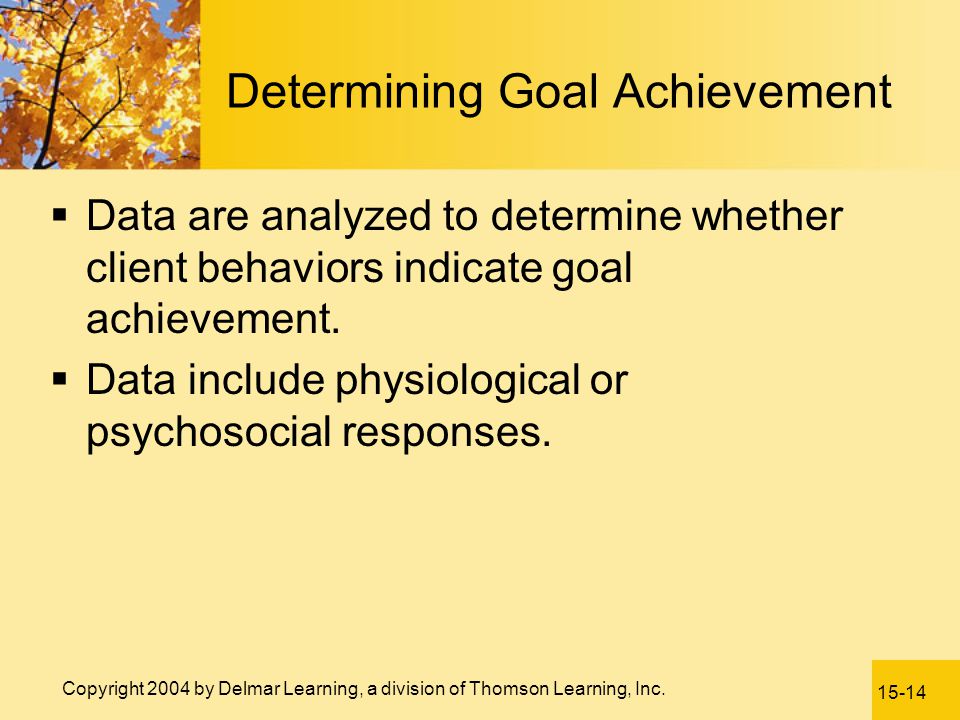 Determining Goal Achievement