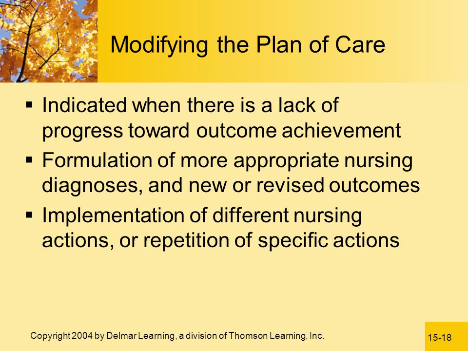 Modifying the Plan of Care