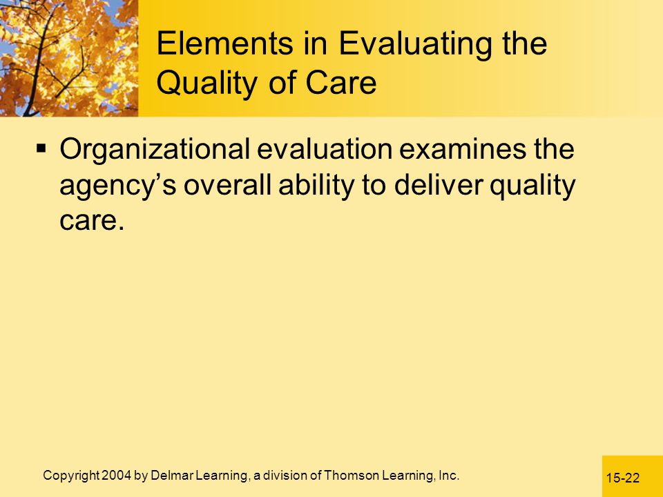 Elements in Evaluating the Quality of Care
