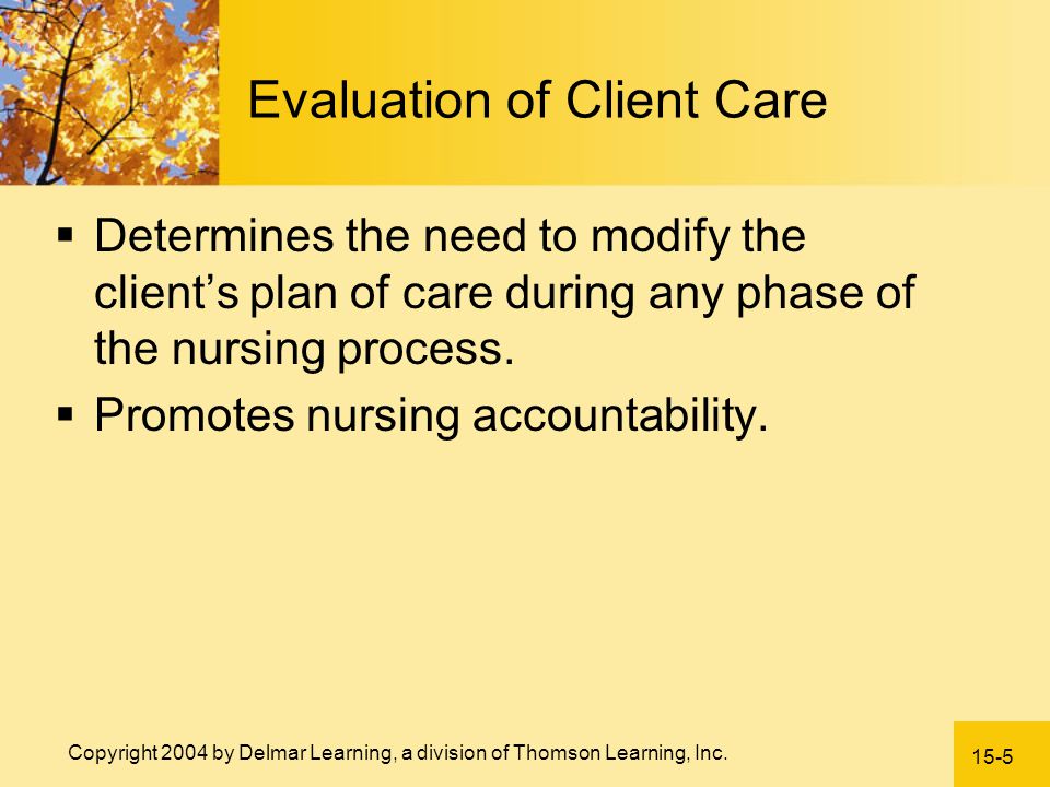 Evaluation of Client Care