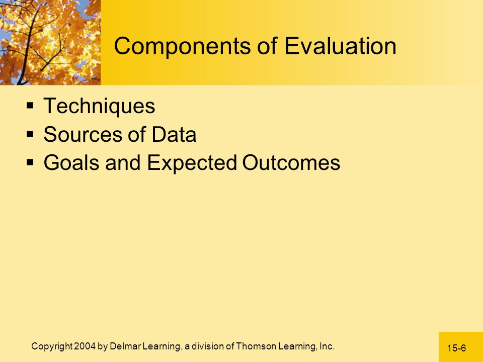 Components of Evaluation