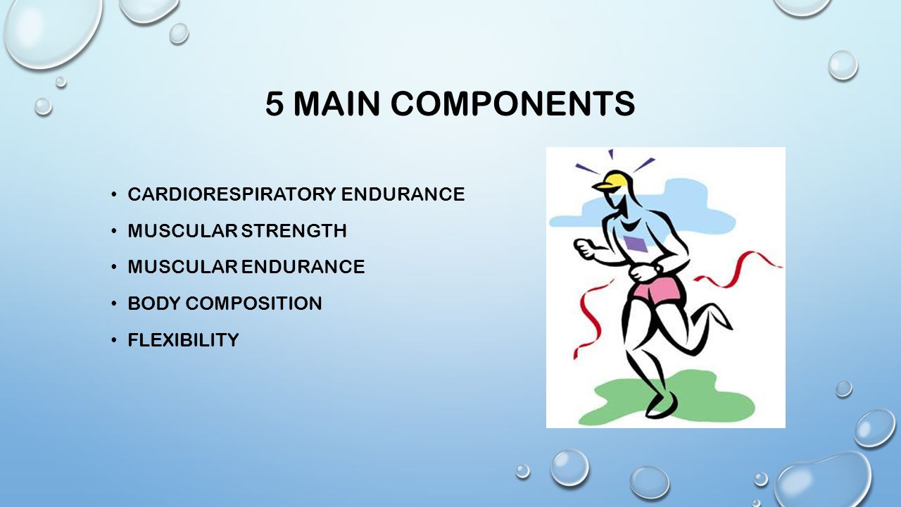 5 main components Cardiorespiratory endurance Muscular strength