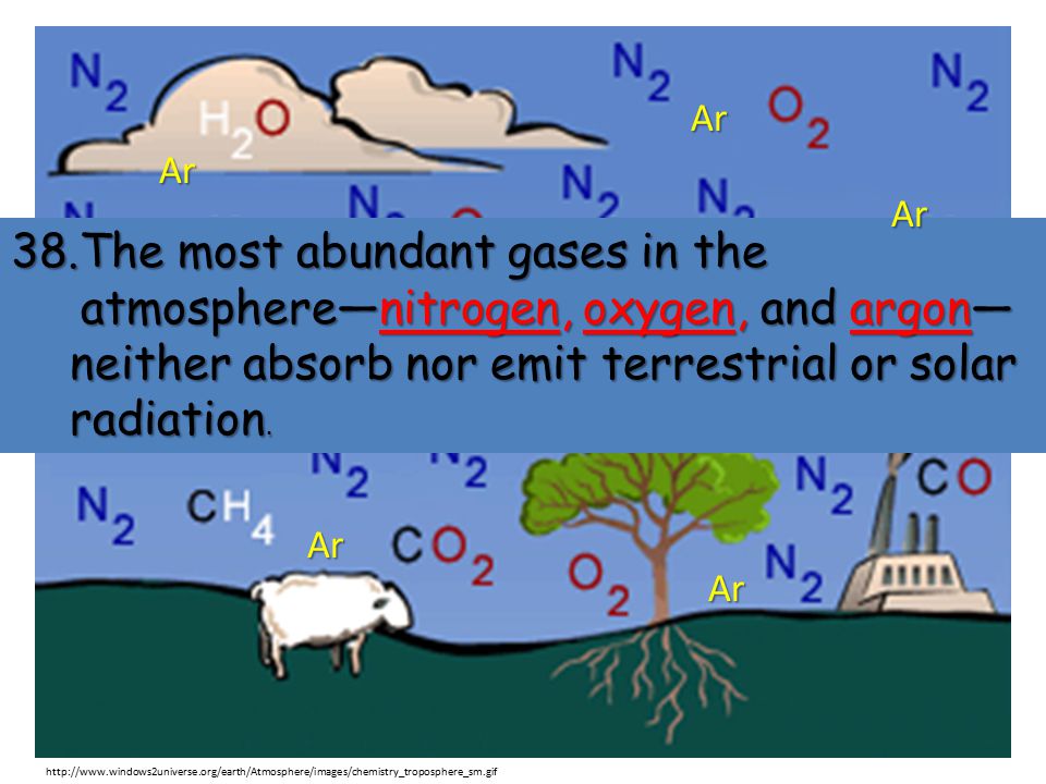 The most abundant gases in the