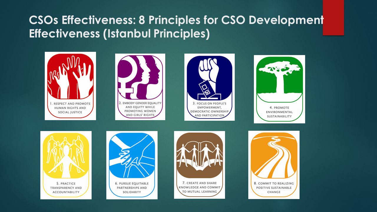 CSOs Effectiveness: 8 Principles for CSO Development Effectiveness (Istanbul Principles)
