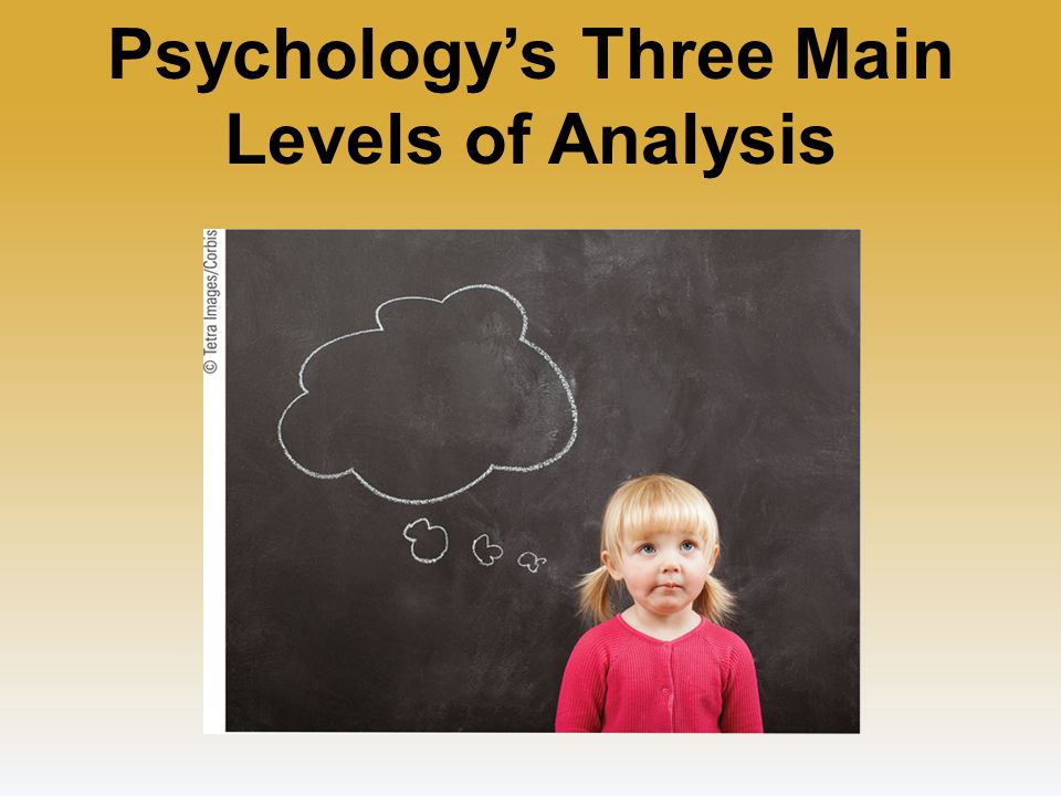 Psychology’s Three Main Levels of Analysis