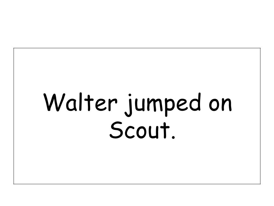 Walter jumped on Scout.