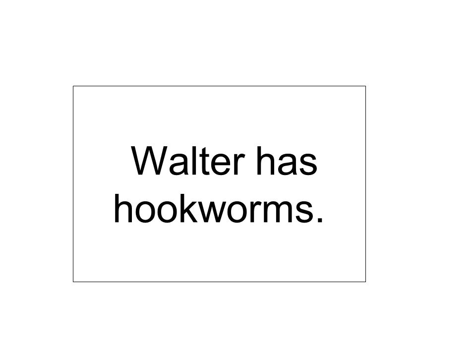 Walter has hookworms.