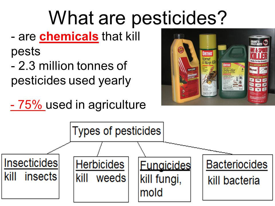 What are pesticides - are chemicals that kill pests