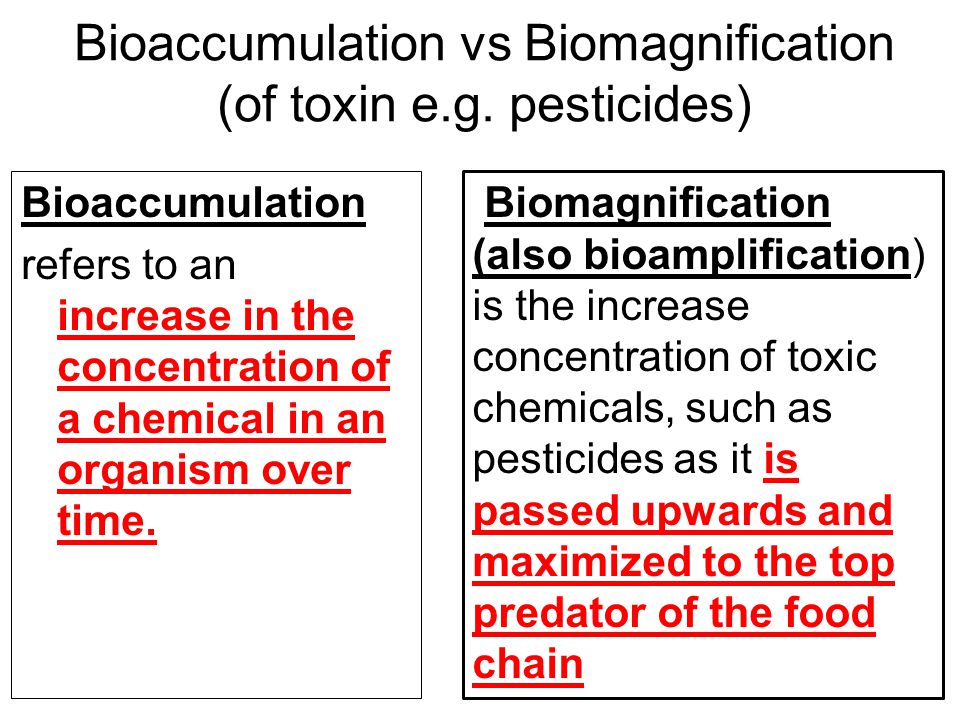 Bioaccumulation vs Biomagnification (of toxin e.g. pesticides)