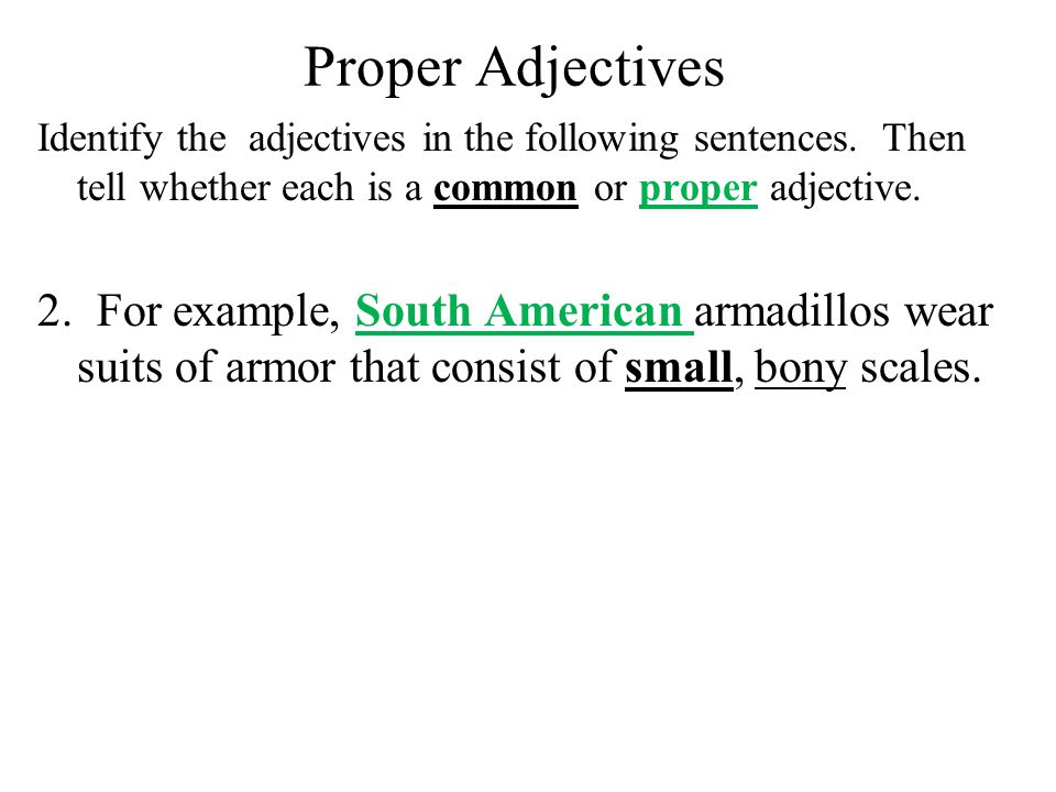 Proper Adjectives Identify the adjectives in the following sentences. Then tell whether each is a common or proper adjective.