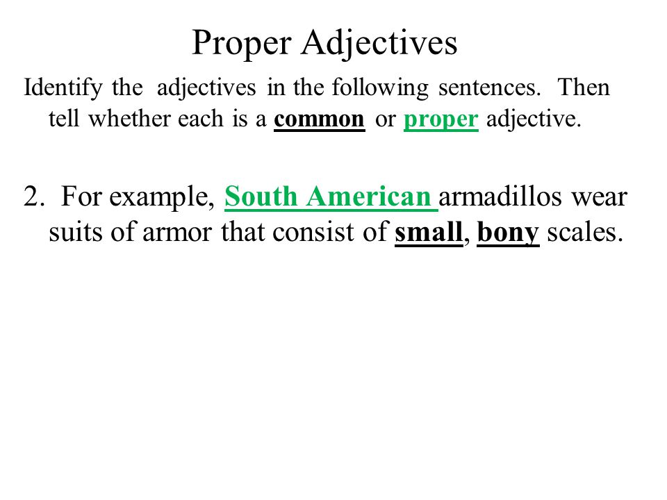 Proper Adjectives Identify the adjectives in the following sentences. Then tell whether each is a common or proper adjective.