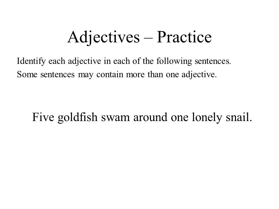 Adjectives – Practice Five goldfish swam around one lonely snail.