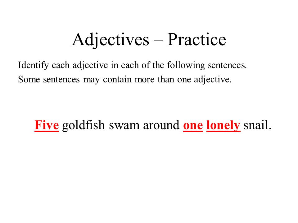 Adjectives – Practice Five goldfish swam around one lonely snail.