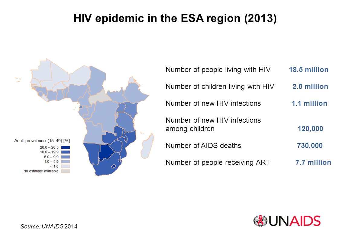 HIV epidemic in the ESA region (2013)