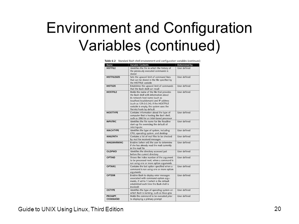 Environment and Configuration Variables (continued)