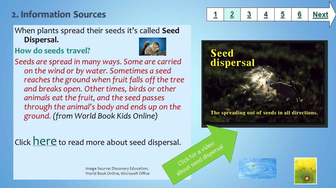 Next 2. Information Sources When plants spread their seeds it’s called Seed Dispersal.